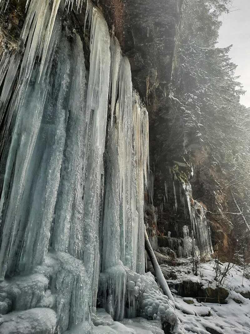 Котедж Кресаня Mykulychyn Exterior photo