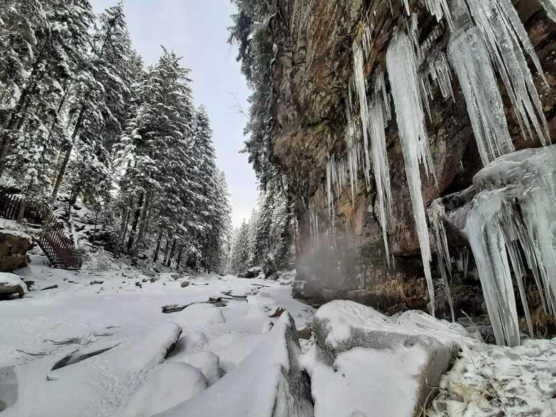 Котедж Кресаня Mykulychyn Exterior photo